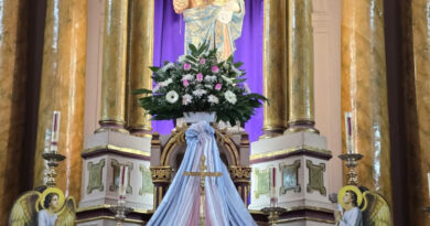 EL 20 DE AGOSTO INCIAN LAS FIESTAS PATRONALES EN HONOR A LA VIRGEN DEL ROSARIO DE CHARCAS.