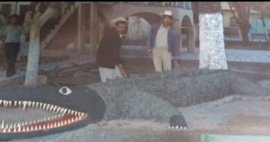 LA HISTORIA DETRAS DEL COCODRILO DE PIEDRA.